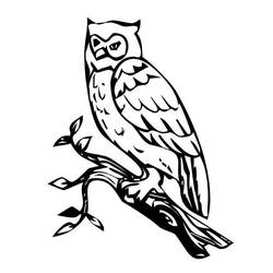 着色页: 猫头鹰 (动物) #8514 - 免费可打印着色页