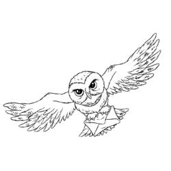 着色页: 猫头鹰 (动物) #8528 - 免费可打印着色页