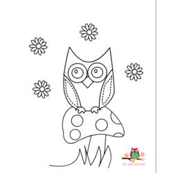 着色页: 猫头鹰 (动物) #8530 - 免费可打印着色页