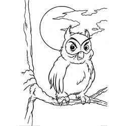 着色页: 猫头鹰 (动物) #8580 - 免费可打印着色页
