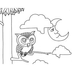 着色页: 猫头鹰 (动物) #8596 - 免费可打印着色页