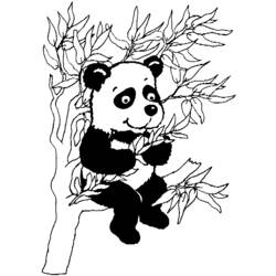 着色页: 熊猫 (动物) #12448 - 免费可打印着色页