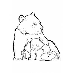 着色页: 熊猫 (动物) #12454 - 免费可打印着色页