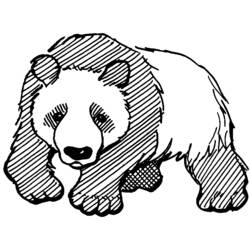 着色页: 熊猫 (动物) #12462 - 免费可打印着色页