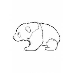 着色页: 熊猫 (动物) #12468 - 免费可打印着色页