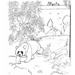 着色页: 熊猫 (动物) #12486 - 免费可打印着色页