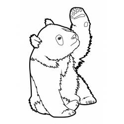 着色页: 熊猫 (动物) #12503 - 免费可打印着色页