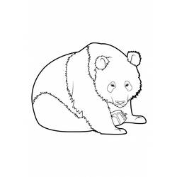 着色页: 熊猫 (动物) #12509 - 免费可打印着色页