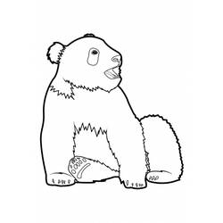 着色页: 熊猫 (动物) #12514 - 免费可打印着色页