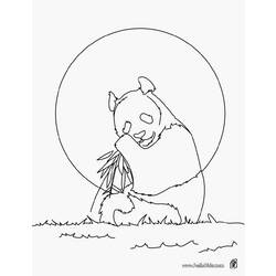 着色页: 熊猫 (动物) #12584 - 免费可打印着色页