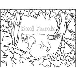 着色页: 熊猫 (动物) #12596 - 免费可打印着色页