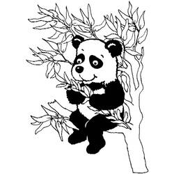 着色页: 熊猫 (动物) #12610 - 免费可打印着色页