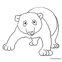 着色页: 熊猫 (动物) #12621 - 免费可打印着色页