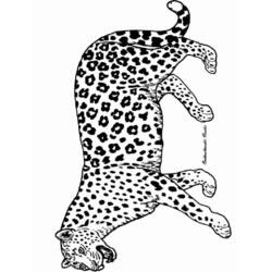 着色页: 豹 (动物) #15520 - 免费可打印着色页