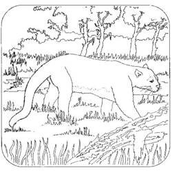 着色页: 豹 (动物) #15547 - 免费可打印着色页