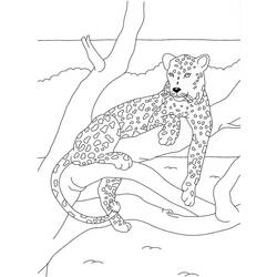 着色页: 豹 (动物) #15557 - 免费可打印着色页