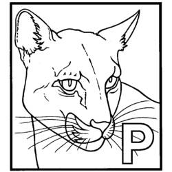 着色页: 豹 (动物) #15594 - 免费可打印着色页