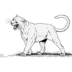着色页: 豹 (动物) #15596 - 免费可打印着色页