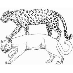 着色页: 豹 (动物) #15598 - 免费可打印着色页