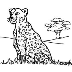 着色页: 豹 (动物) #15600 - 免费可打印着色页