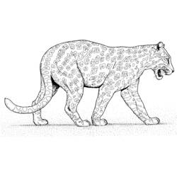 着色页: 豹 (动物) #15617 - 免费可打印着色页