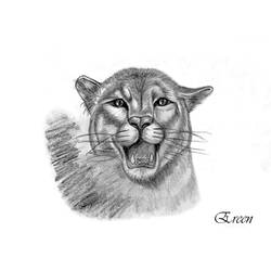 着色页: 豹 (动物) #15650 - 免费可打印着色页