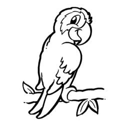 着色页: 鹦鹉 (动物) #16061 - 免费可打印着色页