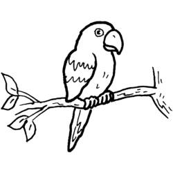 着色页: 鹦鹉 (动物) #16074 - 免费可打印着色页