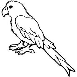 着色页: 鹦鹉 (动物) #16077 - 免费可打印着色页