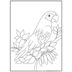 着色页: 鹦鹉 (动物) #16078 - 免费可打印着色页