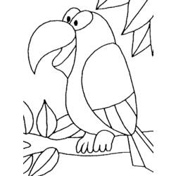 着色页: 鹦鹉 (动物) #16079 - 免费可打印着色页
