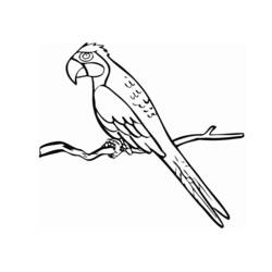 着色页: 鹦鹉 (动物) #16084 - 免费可打印着色页