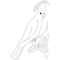 着色页: 鹦鹉 (动物) #16092 - 免费可打印着色页