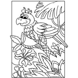 着色页: 鹦鹉 (动物) #16094 - 免费可打印着色页