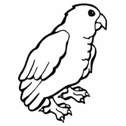 着色页: 鹦鹉 (动物) #16109 - 免费可打印着色页
