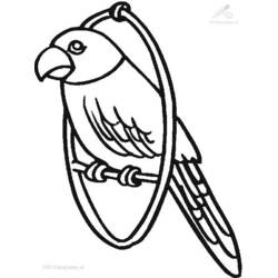 着色页: 鹦鹉 (动物) #16112 - 免费可打印着色页