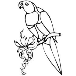 着色页: 鹦鹉 (动物) #16117 - 免费可打印着色页