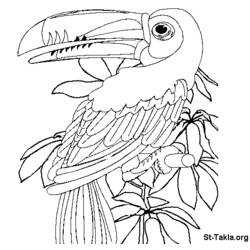 着色页: 鹦鹉 (动物) #16121 - 免费可打印着色页