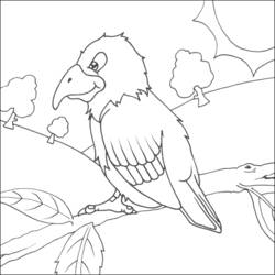 着色页: 鹦鹉 (动物) #16128 - 免费可打印着色页