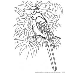 着色页: 鹦鹉 (动物) #16150 - 免费可打印着色页