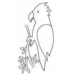 着色页: 鹦鹉 (动物) #16168 - 免费可打印着色页