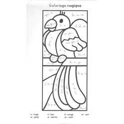 着色页: 鹦鹉 (动物) #16179 - 免费可打印着色页