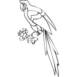 着色页: 鹦鹉 (动物) #16184 - 免费可打印着色页