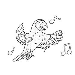 着色页: 鹦鹉 (动物) #16186 - 免费可打印着色页