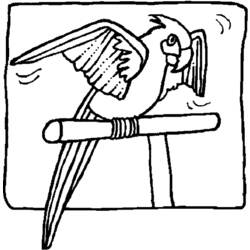 着色页: 鹦鹉 (动物) #16206 - 免费可打印着色页