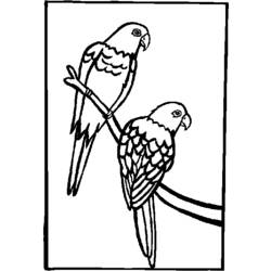 着色页: 鹦鹉 (动物) #16212 - 免费可打印着色页