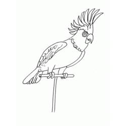 着色页: 鹦鹉 (动物) #16233 - 免费可打印着色页