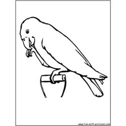 着色页: 鹦鹉 (动物) #16241 - 免费可打印着色页