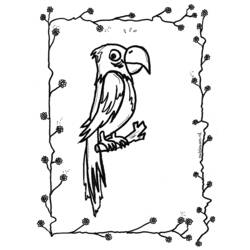 着色页: 鹦鹉 (动物) #16245 - 免费可打印着色页