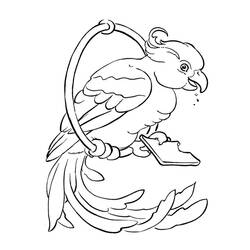 着色页: 鹦鹉 (动物) #16252 - 免费可打印着色页